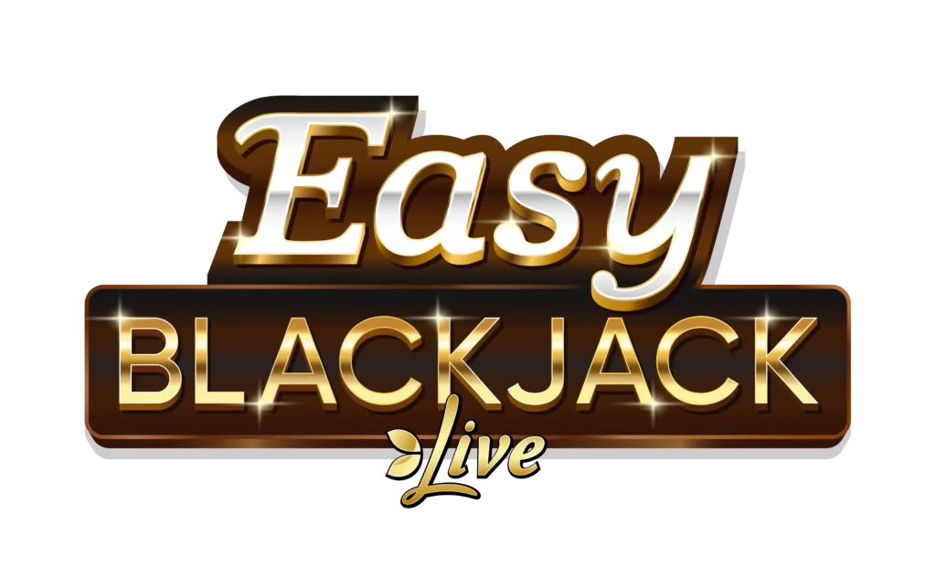 EasyBJ logo ENG 1024x643 png