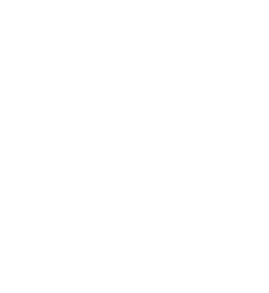 camera icon white